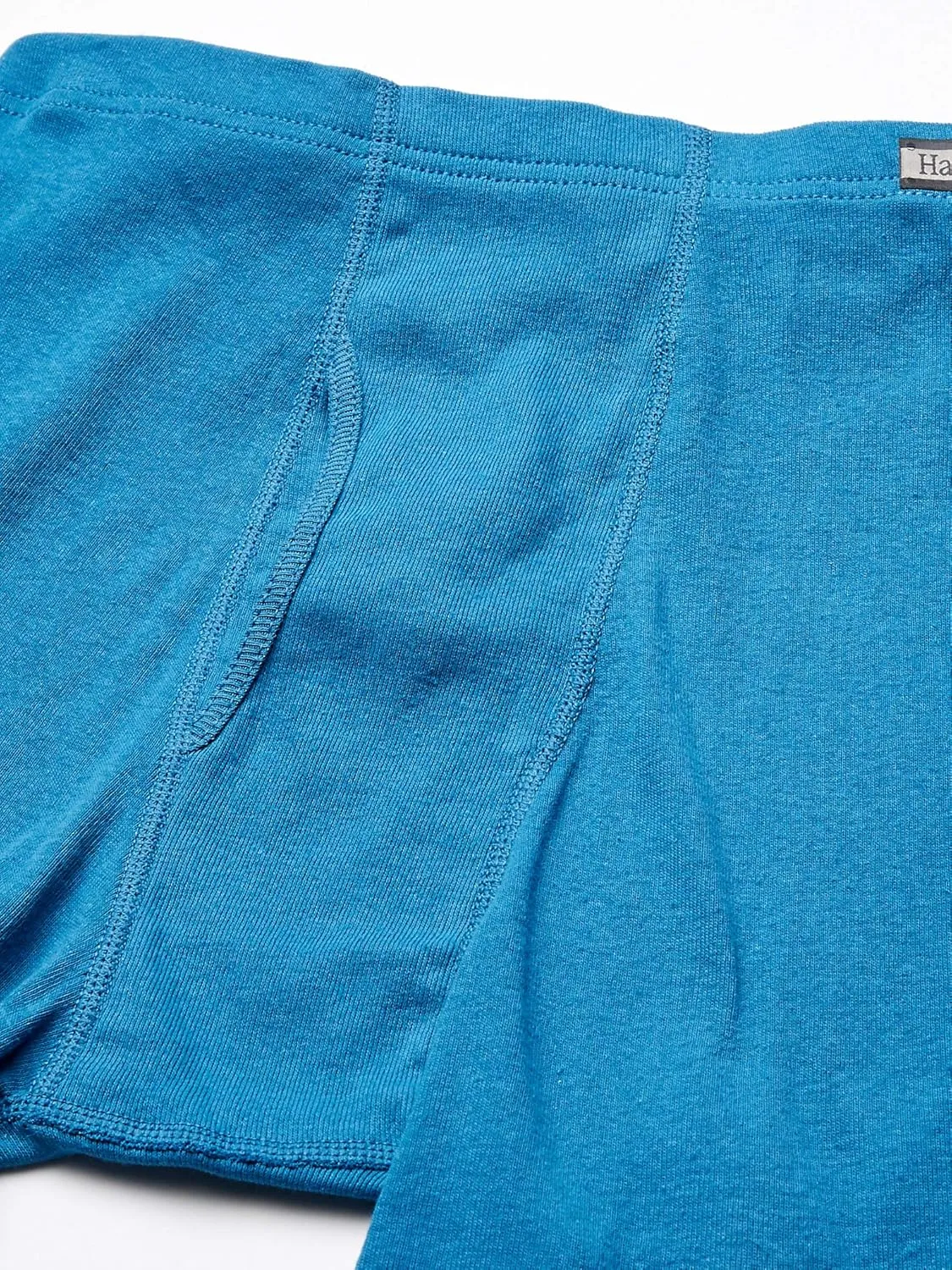 Hanes Men's Classic